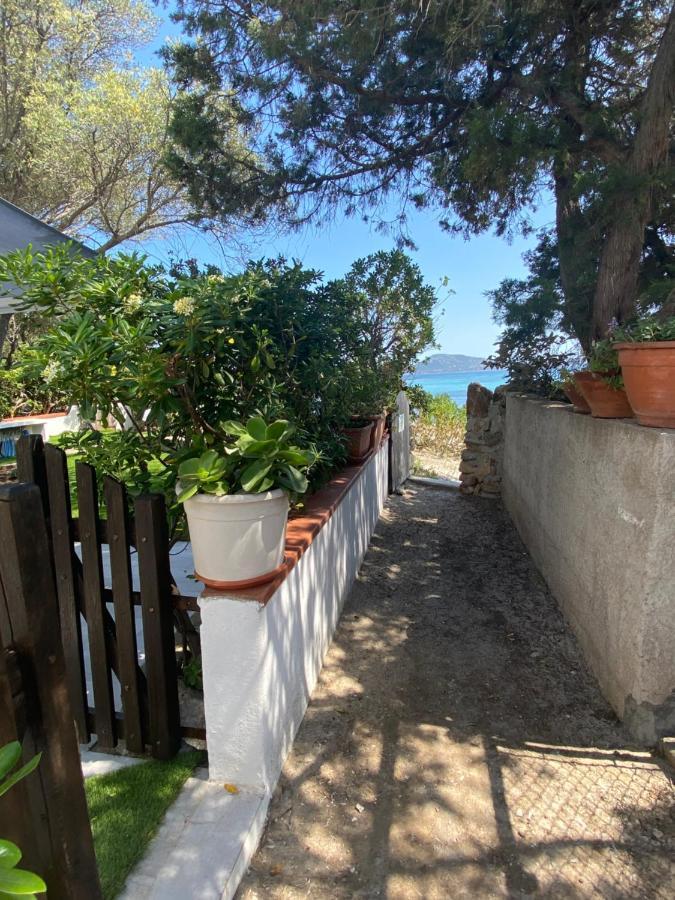 La Casa Sull'Acqua Villa Олбия Екстериор снимка
